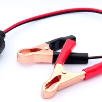 Krókódíll í Sigótengi